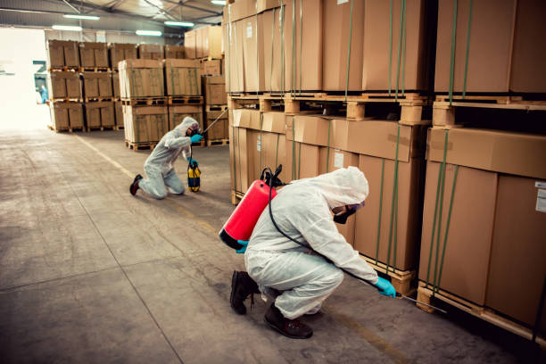 Best Pest Control Near Me in Zapata, TX