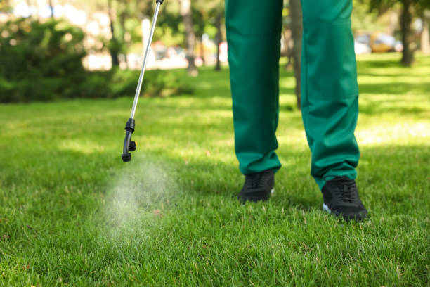 Best Local Pest Control Services  in Zapata, TX